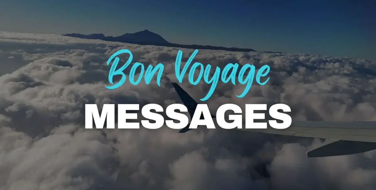 Bon voyage messages with a photo of an airplane wing