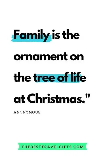 "family is the ornament on the tree of life at Christmas" quote about Christmas
