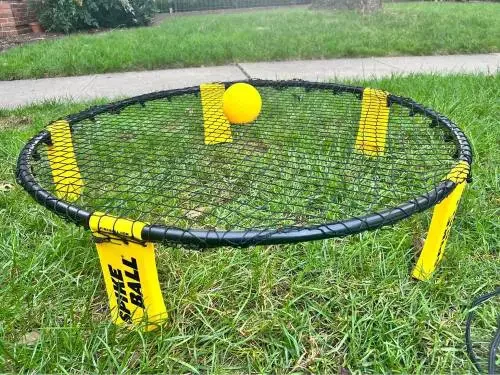 A net with a ball on the grass