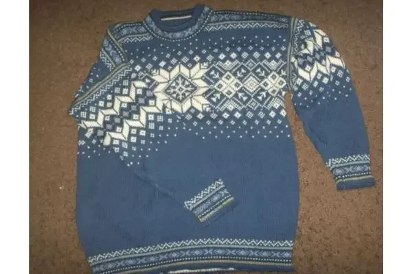 A blue sweater from the brand Dale of Norway