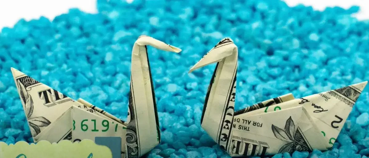 Swan origami made from cash