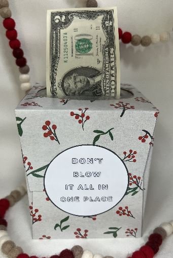 Tissue box with money and text: Don't blow it all in one place