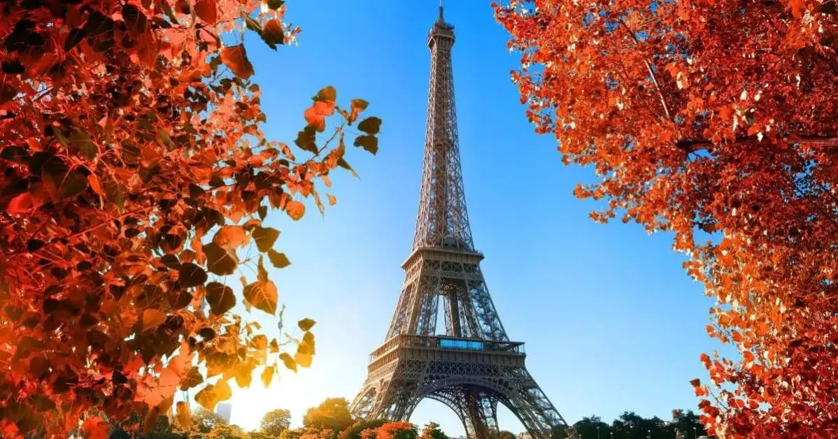 A photo of the Eiffel Tower in Paris with colorful leaves on the side