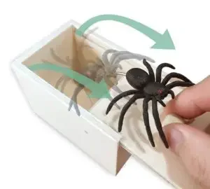 Box with a fake spider that pops out when you open it