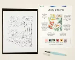 DIY paint kit of Arizona wildflowers