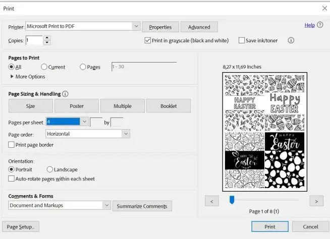 screenshot of printer settings for printer 4 pager per sheet